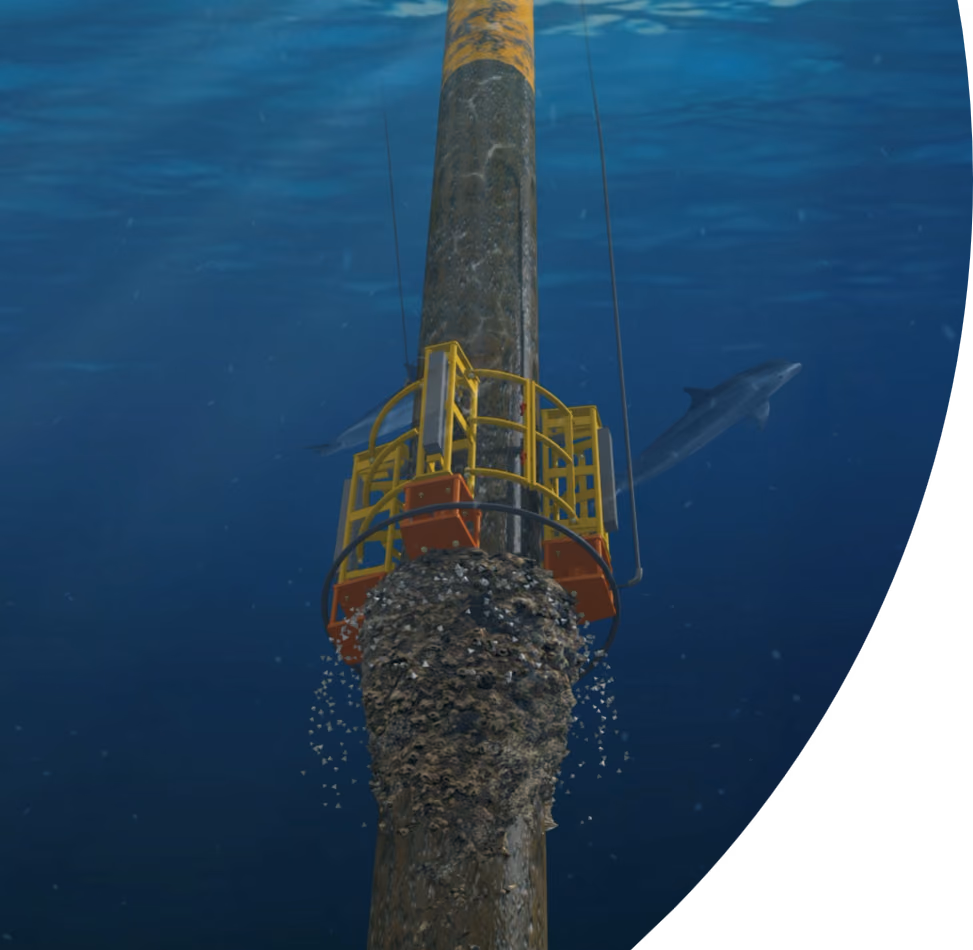 Marine Growth Removal System
