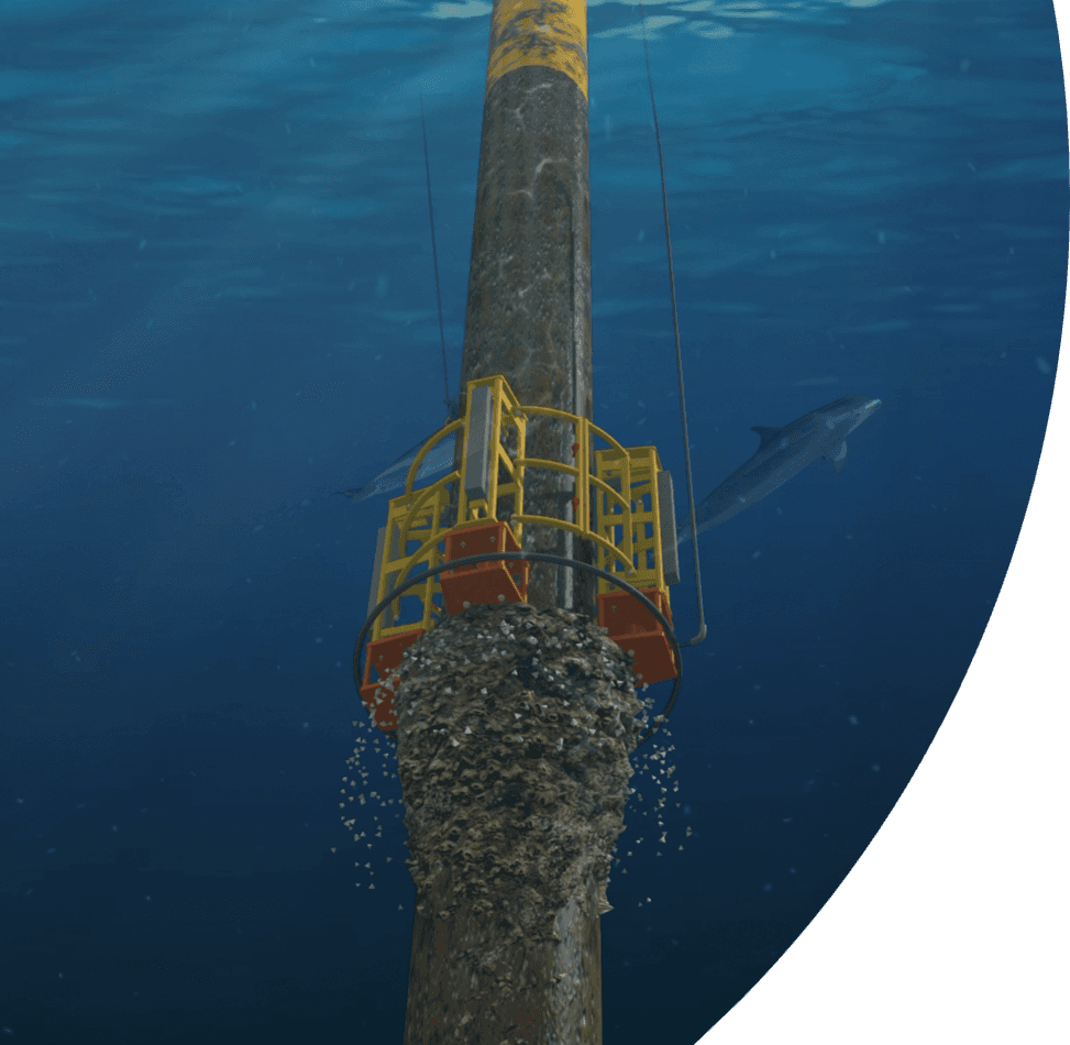 Marine Growth Removal System