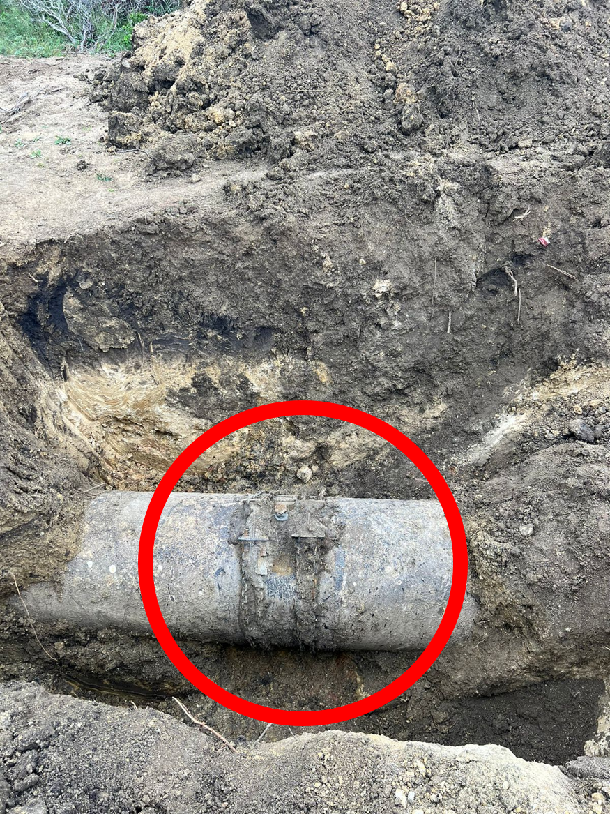 Categoría México Principal